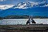 Bestandsnaam=ARG-010.jpg
Bestandsgrootte=224KiB
Afmetingen = 800x530
Datum toegevoegd = 02 jan 2012 ARG-010.jpg