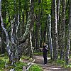Bestandsnaam=ARG-019.jpg
Bestandsgrootte=609KiB
Afmetingen = 800x800
Datum toegevoegd = 02 jan 2012 ARG-019.jpg