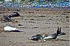 Bestandsnaam=ARG-037.jpg
Bestandsgrootte=520KiB
Afmetingen = 800x530
Datum toegevoegd = 02 jan 2012 ARG-037.jpg