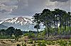 Bestandsnaam=ARG-043.jpg
Bestandsgrootte=309KiB
Afmetingen = 800x530
Datum toegevoegd = 02 jan 2012 ARG-043.jpg