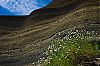 Bestandsnaam=ARG-058.jpg
Bestandsgrootte=392KiB
Afmetingen = 800x530
Datum toegevoegd = 02 jan 2012 ARG-058.jpg