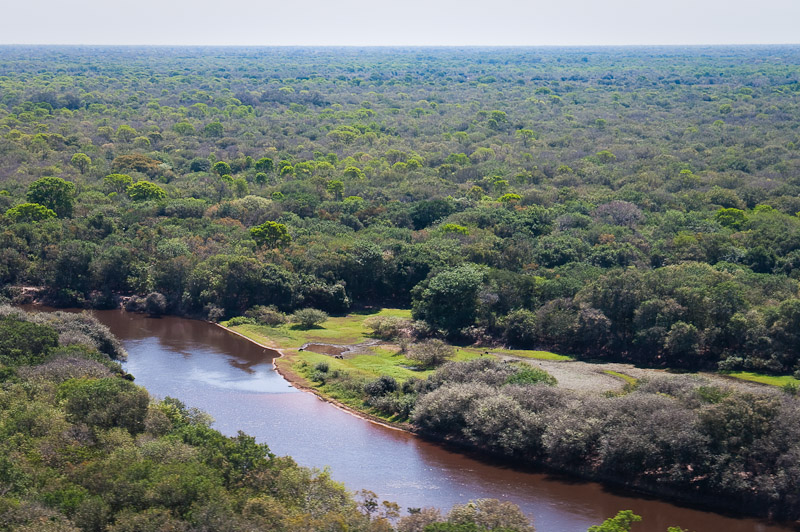 Pantanal