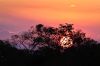 Bestandsnaam=Pantanal-120.jpg
Bestandsgrootte=166KiB
Afmetingen = 800x532
Datum toegevoegd = 15 okt 2009 Pantanal-120.jpg