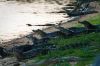 Bestandsnaam=Pantanal-133.jpg
Bestandsgrootte=188KiB
Afmetingen = 800x532
Datum toegevoegd = 15 okt 2009 Pantanal-133.jpg