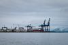 Bestandsnaam=Parana-177.jpg
Bestandsgrootte=104KiB
Afmetingen = 800x532
Datum toegevoegd = 15 okt 2009 Parana-177.jpg
