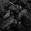 Bestandsnaam=Islay-035.jpg
Bestandsgrootte=518KiB
Afmetingen = 800x800
Datum toegevoegd = 02 mei 2012 Islay-035.jpg