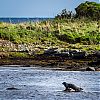 Bestandsnaam=Isla2017-017.jpg
Bestandsgrootte=862KiB
Afmetingen = 800x800
Datum toegevoegd = 08 okt 2017 Isla2017-017.jpg