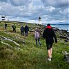 Bestandsnaam=Isla2017-040.jpg
Bestandsgrootte=776KiB
Afmetingen = 800x800
Datum toegevoegd = 08 okt 2017 Isla2017-040.jpg
