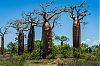 Bestandsnaam=Mada-118.jpg
Bestandsgrootte=386KiB
Afmetingen = 800x530
Datum toegevoegd = 19 jan 2013 Mada-118.jpg