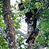 Bestandsnaam=Nica-214.jpg
Bestandsgrootte=722KiB
Afmetingen = 1000x1000
Datum toegevoegd = 19 apr 2017 Nica-214.jpg