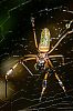 Bestandsnaam=Nica-224.jpg
Bestandsgrootte=343KiB
Afmetingen = 815x1226
Datum toegevoegd = 19 apr 2017 Nica-224.jpg