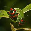 Bestandsnaam=Nica-239.jpg
Bestandsgrootte=386KiB
Afmetingen = 1000x1000
Datum toegevoegd = 19 apr 2017 Nica-239.jpg