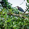 Bestandsnaam=Nica-246.jpg
Bestandsgrootte=553KiB
Afmetingen = 1000x1000
Datum toegevoegd = 19 apr 2017 Nica-246.jpg