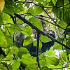 Bestandsnaam=Nica-253.jpg
Bestandsgrootte=612KiB
Afmetingen = 1000x1000
Datum toegevoegd = 19 apr 2017 Nica-253.jpg