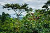 Bestandsnaam=Nica-293.jpg
Bestandsgrootte=617KiB
Afmetingen = 1226x815
Datum toegevoegd = 19 apr 2017 Nica-293.jpg