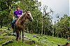 Bestandsnaam=Nica-321.jpg
Bestandsgrootte=813KiB
Afmetingen = 1226x815
Datum toegevoegd = 19 apr 2017 Nica-321.jpg