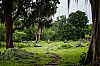 Bestandsnaam=Nica-326.jpg
Bestandsgrootte=703KiB
Afmetingen = 1226x815
Datum toegevoegd = 19 apr 2017 Nica-326.jpg