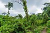Bestandsnaam=Nica-384.jpg
Bestandsgrootte=738KiB
Afmetingen = 1226x815
Datum toegevoegd = 19 apr 2017 Nica-384.jpg