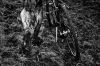 Bestandsnaam=cyclo-6.jpg
Bestandsgrootte=408KiB
Afmetingen = 800x532
Datum toegevoegd = 03 dec 2008 cyclo-6.jpg