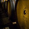 Bestandsnaam=Porto-001.jpg
Bestandsgrootte=219KiB
Afmetingen = 800x800
Datum toegevoegd = 29 aug 2016 Porto-001.jpg