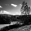Bestandsnaam=Speyside-037.jpg
Bestandsgrootte=315KiB
Afmetingen = 800x800
Datum toegevoegd = 23 okt 2013 Speyside-037.jpg