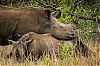 Bestandsnaam=ZA-147.jpg
Bestandsgrootte=691KiB
Afmetingen = 1226x815
Datum toegevoegd = 03 jan 2016 ZA-147.jpg